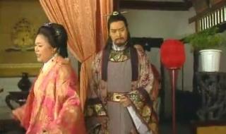 张玉嬿演过的电视剧