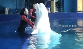 淡季去三亚机票多少钱