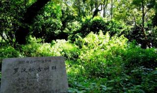 上海到普陀山自由行