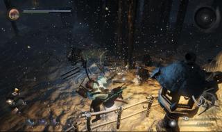 六月飞霜是什么生肖_